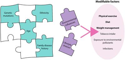 The Influence of Modifiable Factors on Breast and Prostate Cancer Risk and Disease Progression